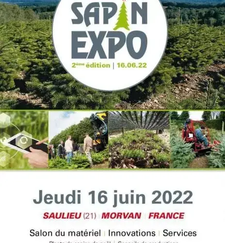 expo sapin